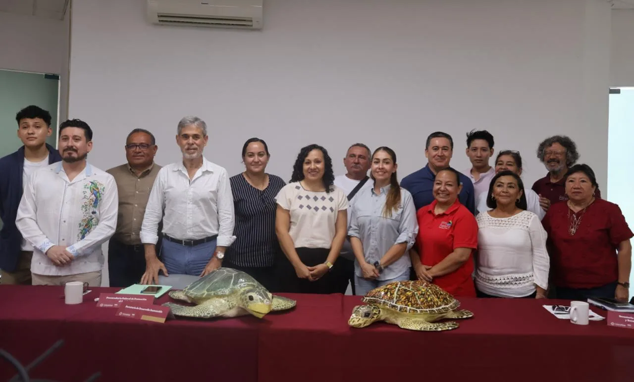 INICIA ANIDACIÓN DE TORTUFAS Y SE PROTEGERA LA COSTA YUCATECA