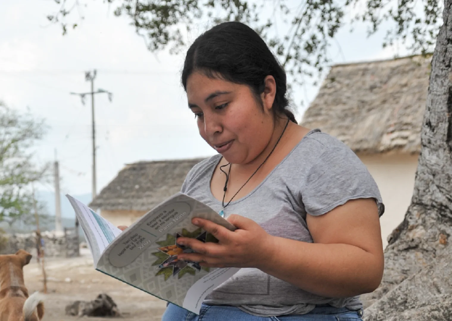 JORNADA DE ALFABETIZACIÓN PARA JÓVENES Y ADULTOS