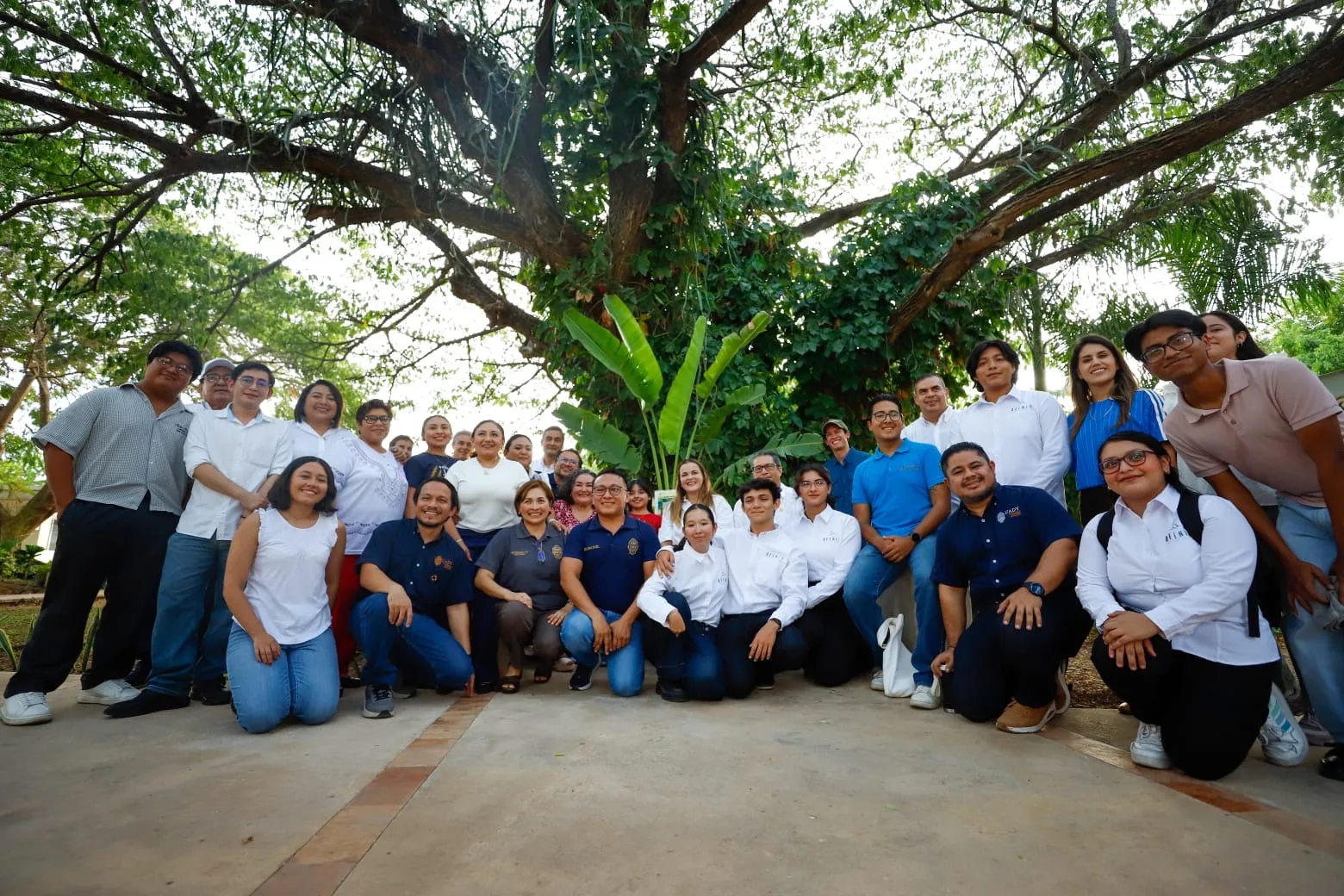 SE AVANZA EN PROTECFCIÓN DE ÁRBOLES MERIDANOS DECLARADOS PATRIMONIO DE LA CIUDAD