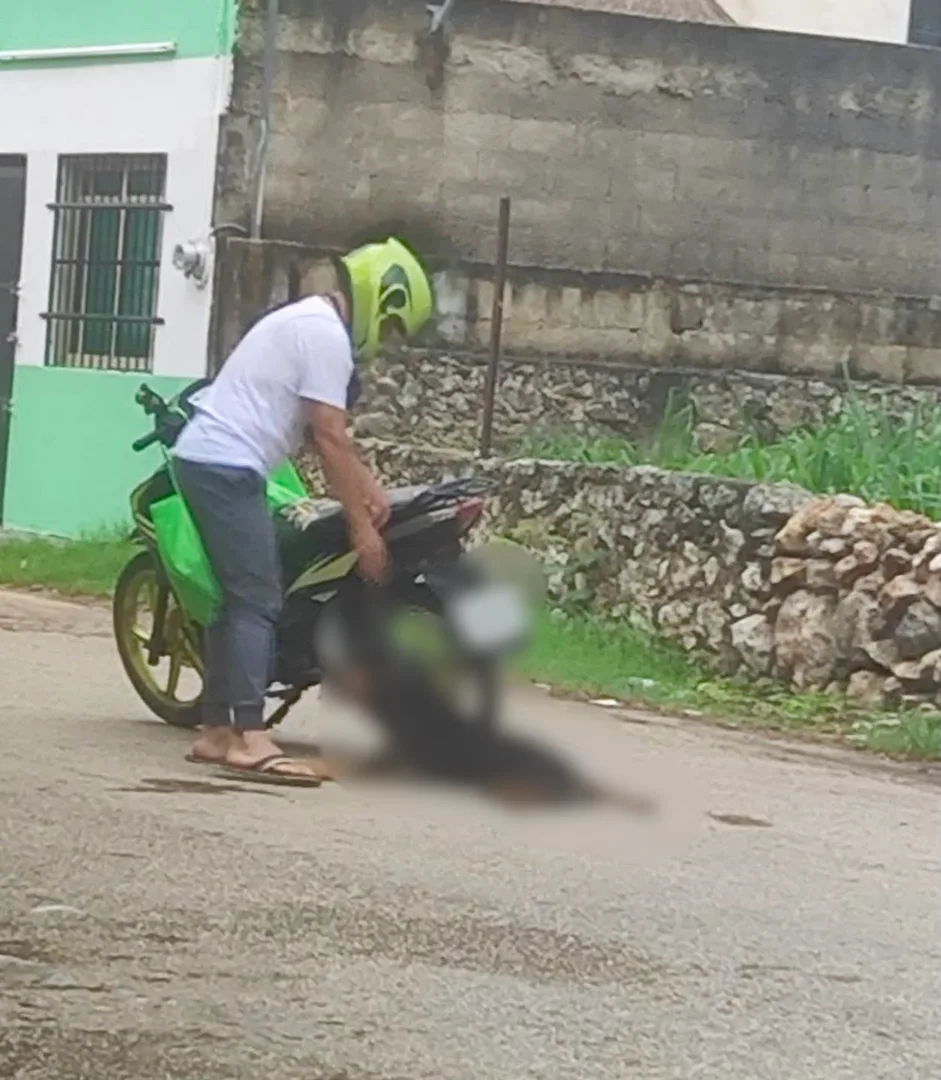 RESCATAN PERRO PRESUNTAMENTE ATROPELLADO