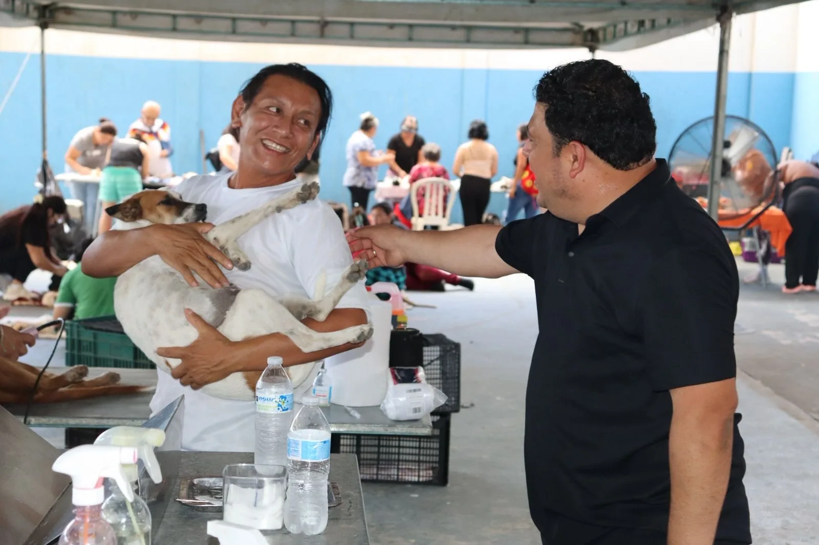 EXITOSA CAMPAÑA GRATIS DE ESTERILIZACIÓN EN KANASÍN