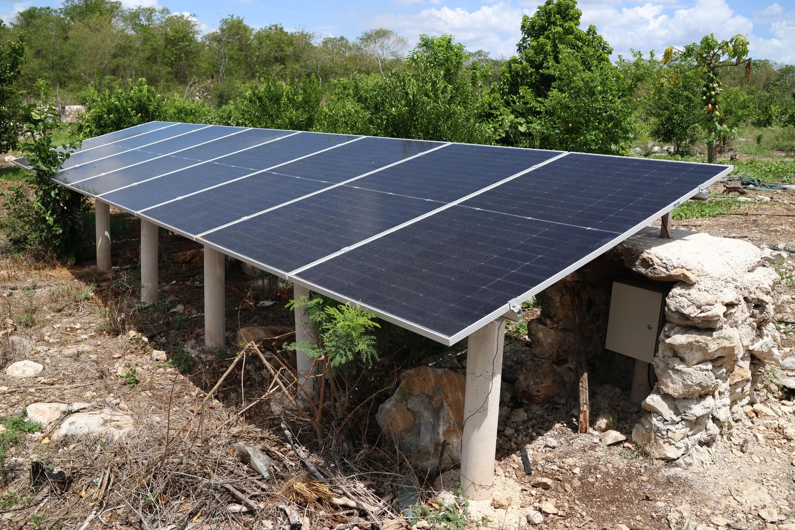 SISTEMA DE RIEGO CON PANELES SOLARES MEJORA PRODUCCIÓN AGRÍCOLA