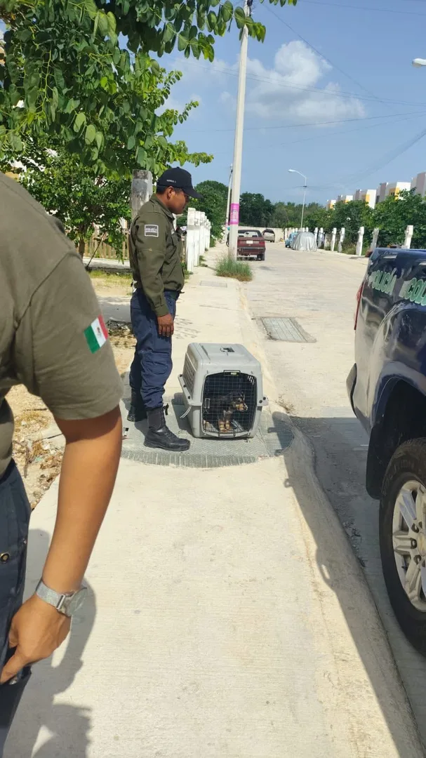 MULTA A MUJER POR PRESUNTO MALTRATO ANIMAL