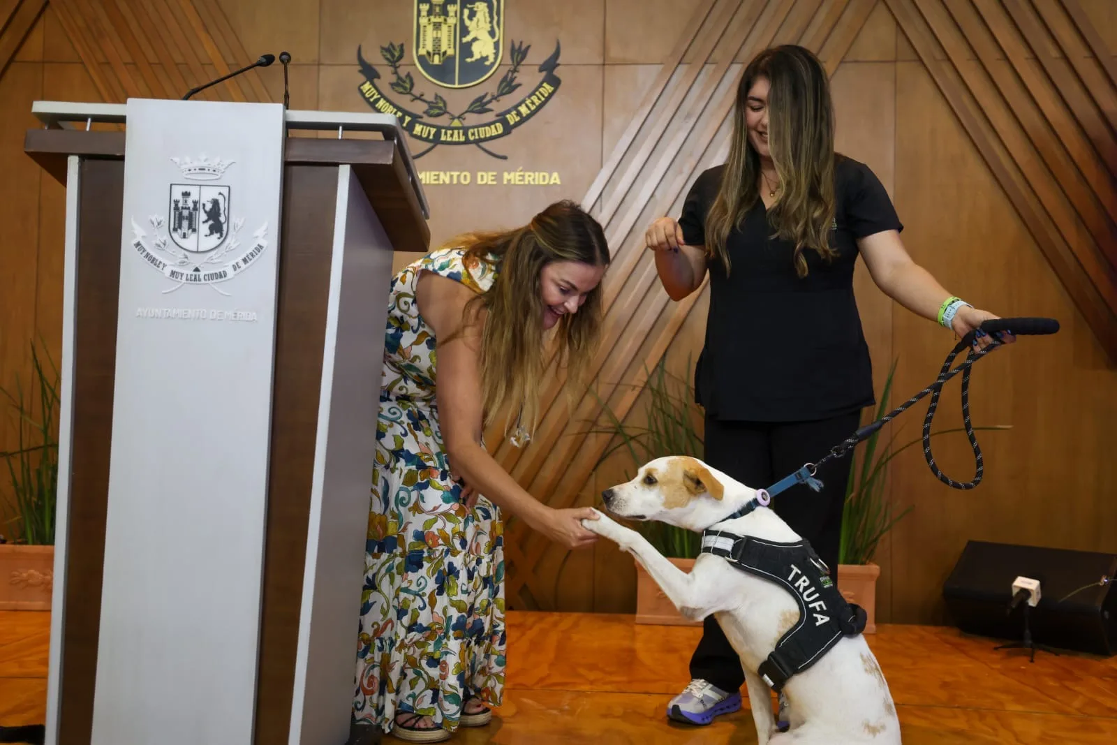 MÁS ADOPCIONES, ESTERILIZACIONES Y ACCIONES POR EL CUIDADO ANIMAL