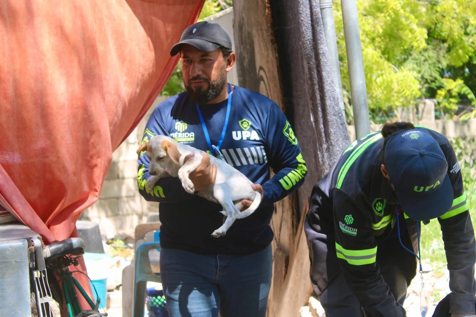 MAS DE MIL REPORTES ATENDIDOS POR MALTRATO ANIMAL