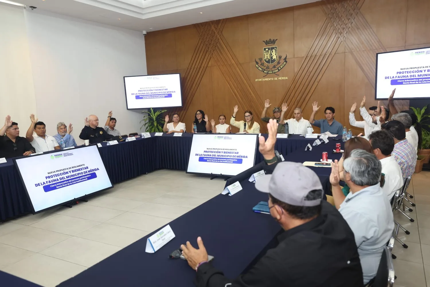 FORTALECEN PROTECCIÓN ANIMAL EN MÉRIDA, NUEVO REGLAMENTO PARA EL BIENESTAR DE LA FAUNA