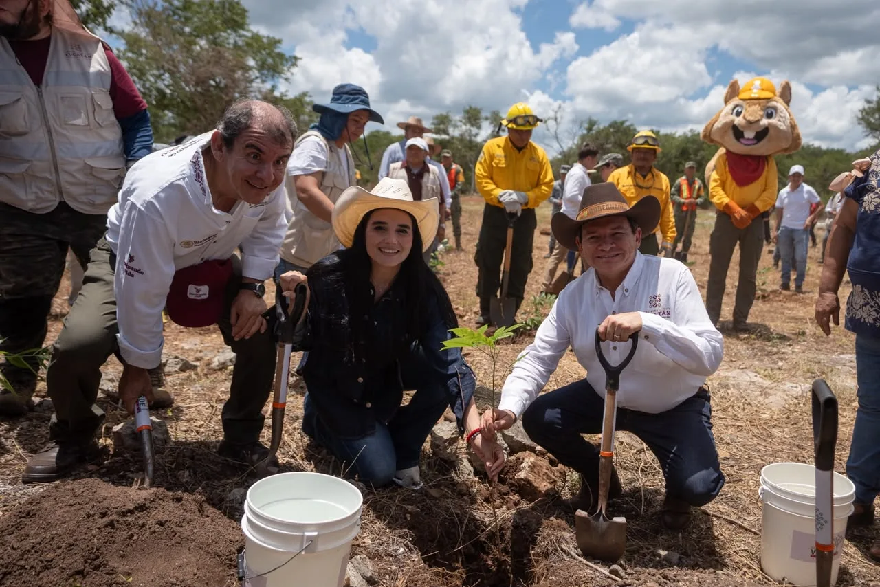 REFORESTAN HECTÁREAS CON MILES DE PLANTAS