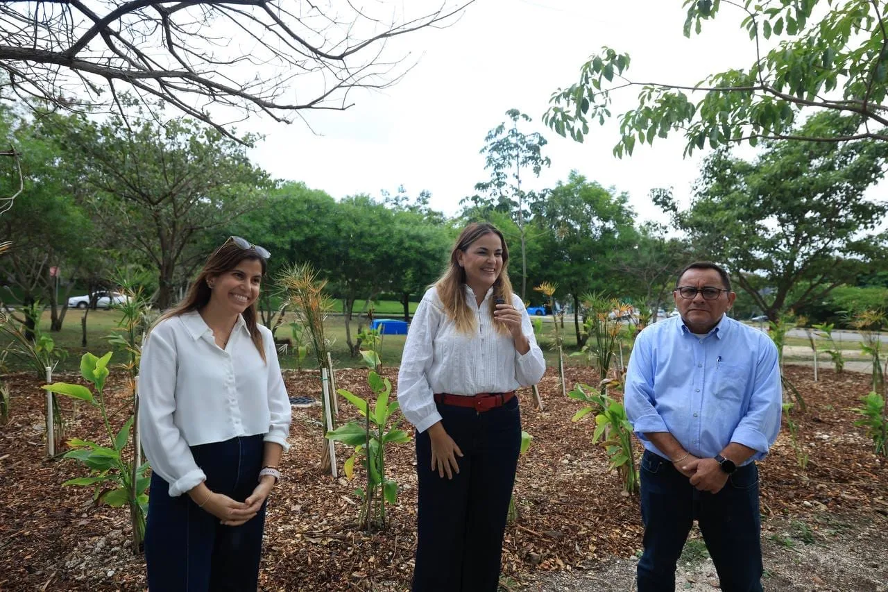 PRIMER JARDÍN DE LLUVIA