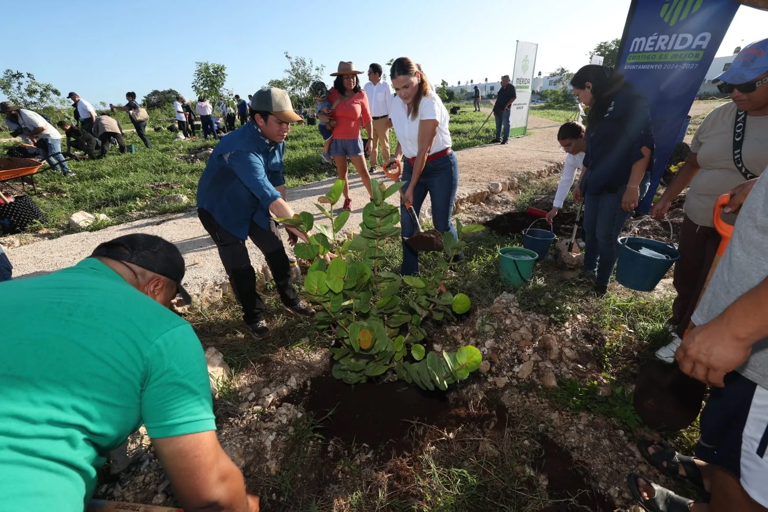 PRIMER BOSQUE URBANO Y CASI 40 MIL ÁRBOLES ADOPTADOS