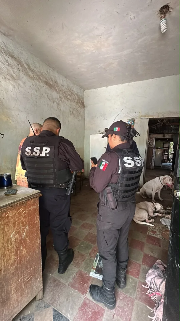 PERROS DE LA BOJOQUEZ DE NUEVO EN RESGUARDO 